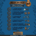 SERVICIO BRONCE